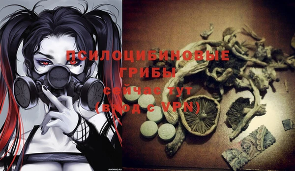 дмт Карталы